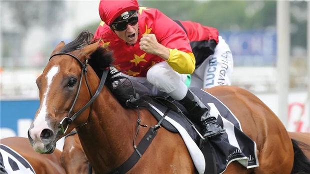 “云丝仙子”连胜之前,连续5次都没赢她!CHC赛马皇后“第一封印”! 大陆赛马网 (2).jpg