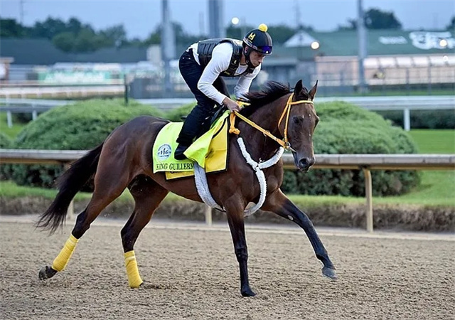 2020第九届中国马术大赛开赛!纽约重开马场附属赌场 (7).jpg