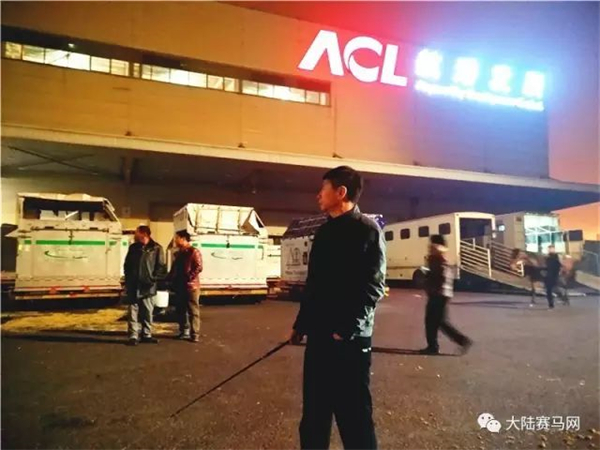 疫情后中国首架运马包机!玉龙马业75匹进口纯血马从爱尔兰顺利抵沪! (6).jpg