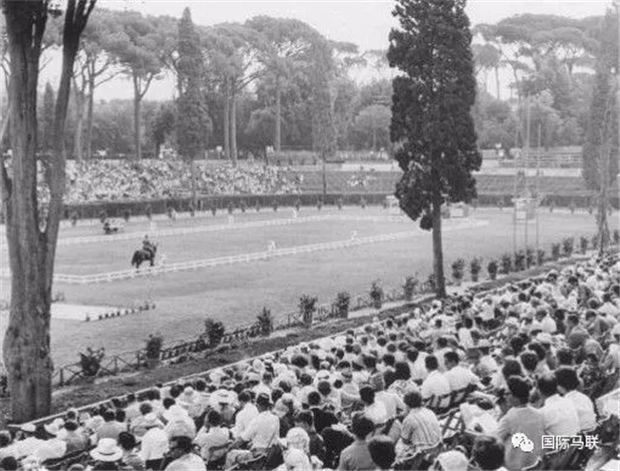 1960年罗马奥运会马术比赛 澳洲骑手从医院病床回到赛场拿到金牌 青马网大陆马 (3).jpg