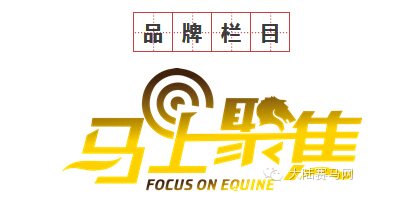 《马上聚焦》司马明:时隔30年重上马背 将古典马术搬上春晚舞台 1.jpg