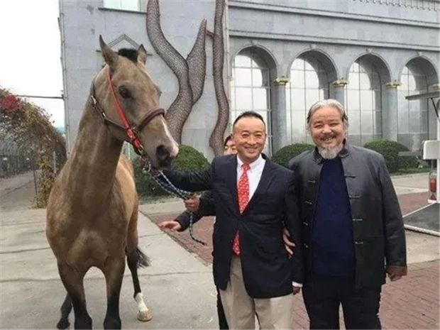 “天上飞的、地上跑的”冠军都被他拿了!马主高建鸥赛鸽又拿总冠军 大陆赛马网 (2).jpg