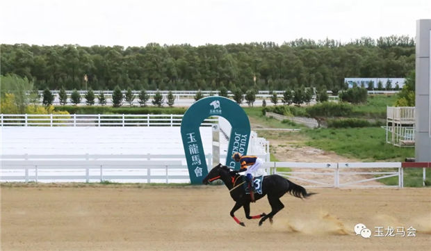 华宇马业明星赛马“万事俱备”:80万奖金中国马主联盟蓝钻锦标冠军 大陆赛马网 (1).jpg