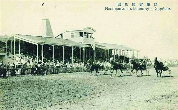 哈尔滨体育局局长:我们要“种草”马术和赛马,这是哈尔滨四大“潮”! 青马网大陆马 (2).jpg