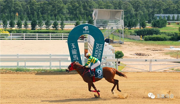 “勇强高尔”:两届世界马王、14战全胜“范高尔”在中国大陆首匹冠军后代 大陆赛马网 (1).jpg