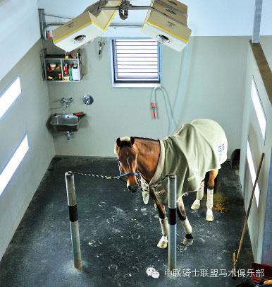 中联骑士联盟带你走进“最好的马场”—荷兰阿卡狄亚马场4.jpg