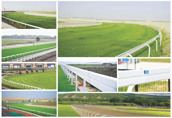 北京威斯恩国际马术设备有限公司:中国马术设备领军企业! 大陆马 (27).jpg