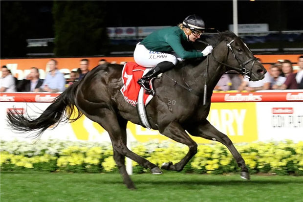 网购马靠谱么?昨天一匹网上淘的“不孕马”35倍爆冷夺200万奖金大赛! 大陆赛马网 (5).jpg