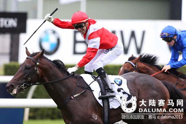 2015澳洲打吡大赛新盟主莱德马业“蒙古可汗”征服南半球 大陆赛马网.jpg