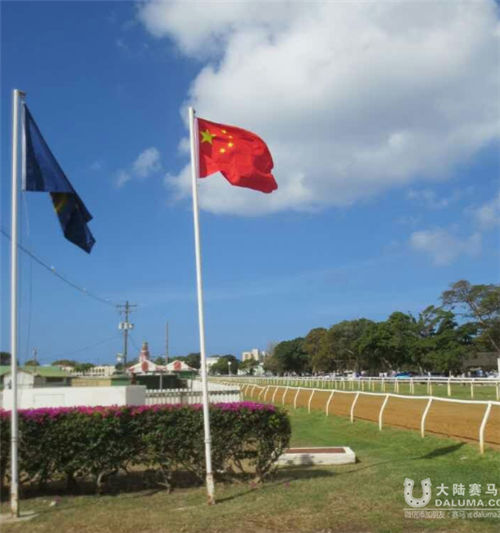 中国骑师在巴巴多斯最大赛事日上夺冠4.png