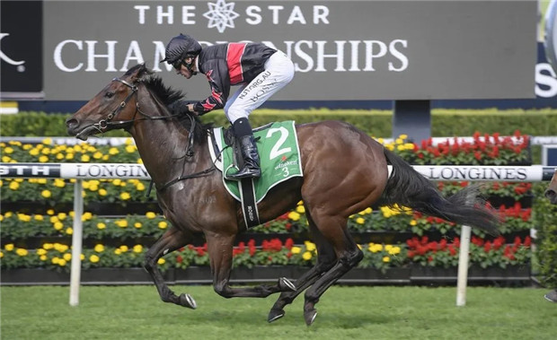 Aquis Farm雅士牧场2岁雌马“客场比赛”二级赛夺冠 奖金已超1200万 大陆赛马网 (2).jpg