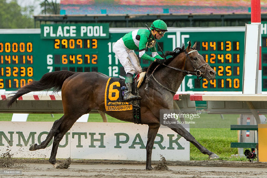 连胜!CHC杰士马主澳英美三国两天4连冠笑傲群雄.png 图片来源:illawarramercury.com.jpg