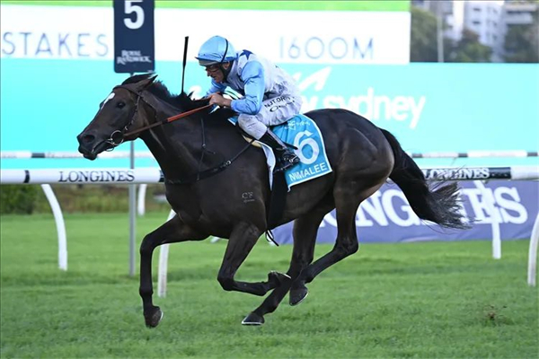 “信可成真”子嗣两小时内连赢3场一级赛 大陆马 (1).jpg