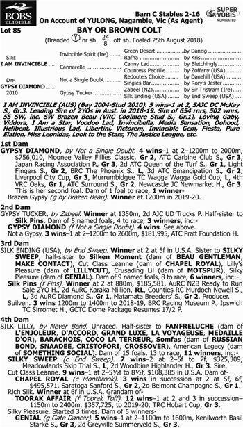 日澳买家争相抢购!玉龙三匹周岁马在澳洲售出600万高价 大陆赛马网大陆马.jpg
