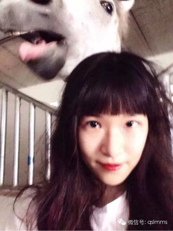 中联骑士联盟《我与马儿亲密接触》摄影大赛第三期投票 大陆赛马网3.jpeg