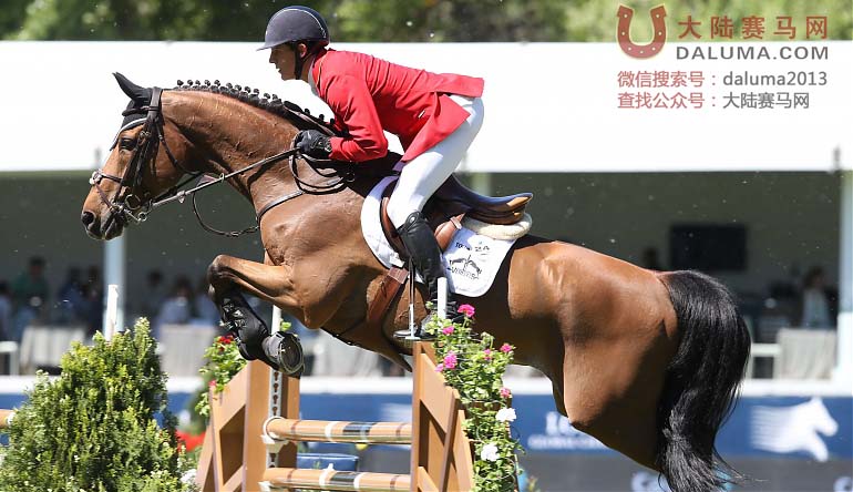 环球马术冠军赛马德里站昨日开赛 西班牙的天才明星骑手Gonzalo Añon Suarez夺冠 大陆赛马网.jpg