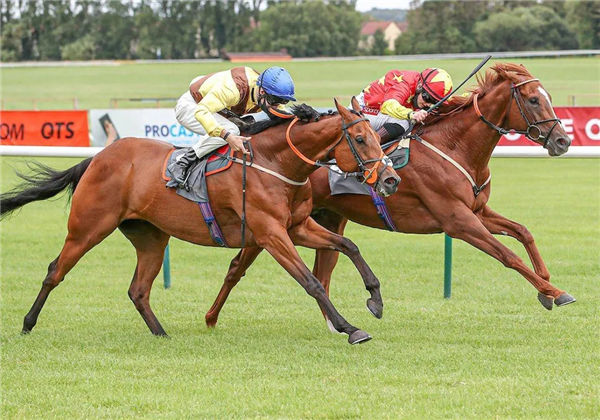 女骑师杜苑欣策骑CHC杰士马主俱乐部“哈里森论”英国夺冠 大陆赛马网 (1).jpg