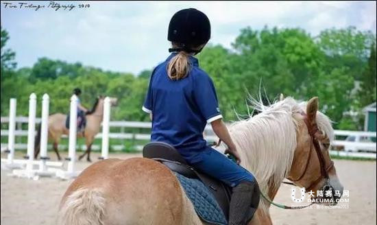 学习马术可以收获什么? 马儿教给我们的12条戒律 大陆赛马网.jpg