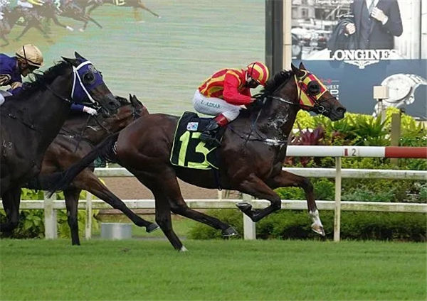 新加坡赛马8月继续进行 单赛马日14场比赛 大陆赛马网.jpg