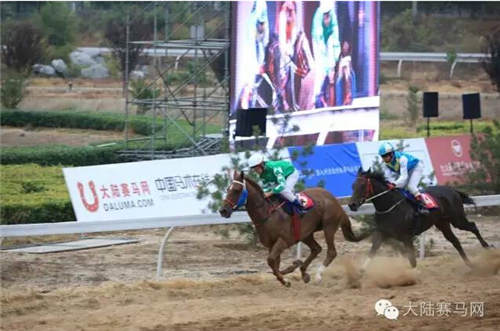 《马上聚焦》北京速度赛马第三站视频全记录:中日共推掀高潮2.jpg