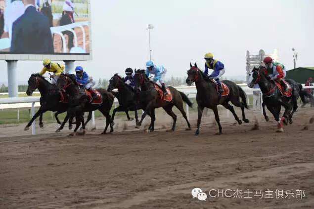 驭马奔腾 助力体育强国民族梦——CECF鄂尔多斯驭马文化节圆满收官 20.jpg