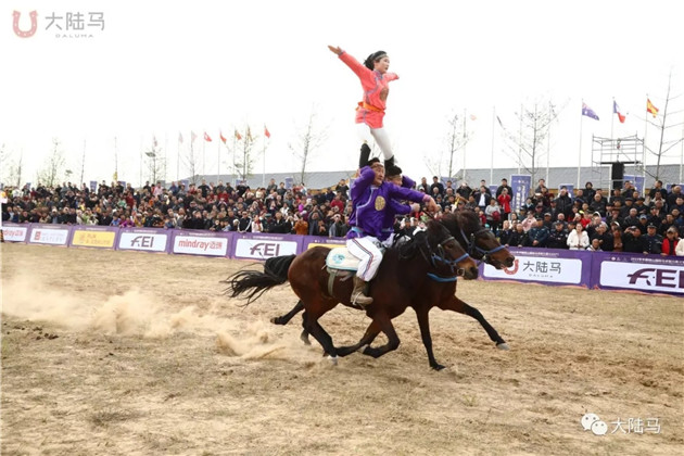 砀山县委书记直播带货卖梨!已把砀山打造成马术耐力赛名城 大陆赛马网 (6).jpg