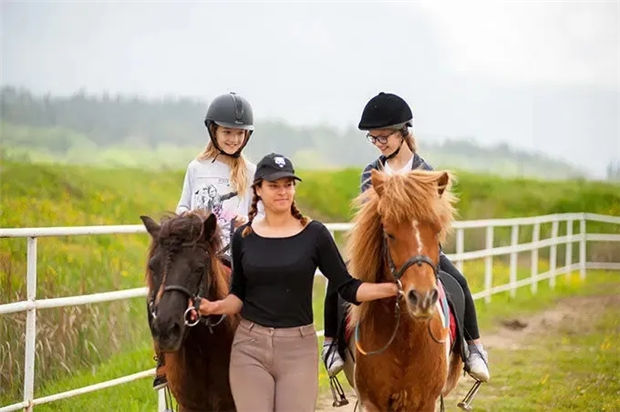 马术学习迎来好时机:北京2020暑假照常放、不提前开学,全国有望效仿 青马网大陆马 (1).jpg