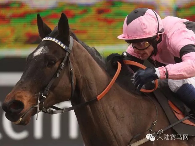 老骥伏枥,志在千里:15岁老马速度赛夺冠 大陆赛马网2.jpg