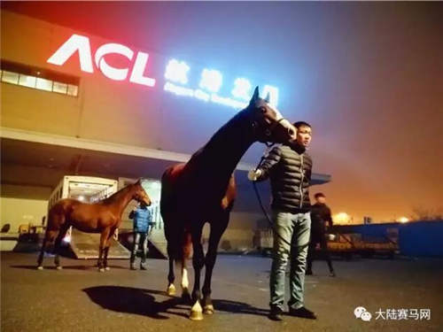 《亚洲时报》:没有博彩的中国赛马 哪个“伟大”人物可力挽狂澜?2.jpg