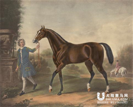 纯血马的历史起源?三匹种马孕育 证明需DNA检测 大陆赛马网.jpg