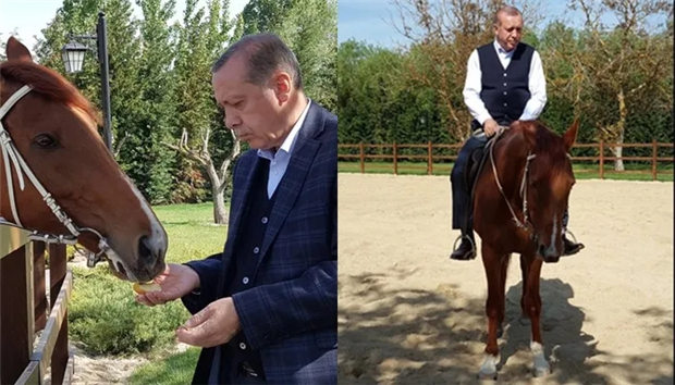世界各国领导人的马背照片为何越来越多? 大陆赛马网 (8).jpg