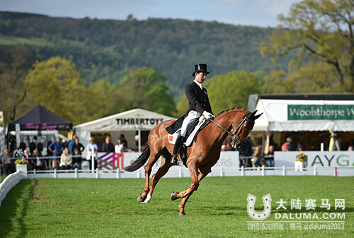 中国骑手华天备战里约奥运 一月三赛2.jpg