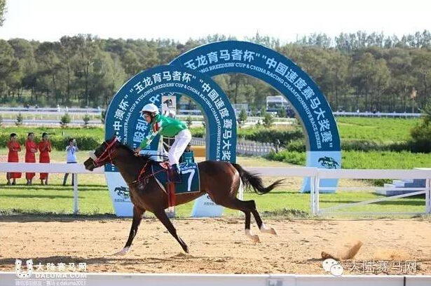 《马上聚焦》玉龙赛马日视频全记录+竞猜游戏中奖名单 19.jpg