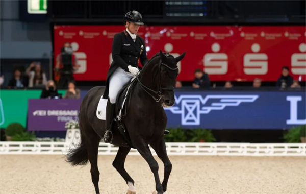 怀孕六月女骑手获国际马联盛装舞步世界杯总决赛冠军 大陆马 (2).png