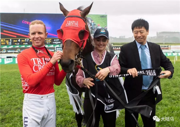 澳洲赛马史奖金第二多、前两届巅峰赛冠军“红达时”功成身退 大陆赛马网 (2).jpg
