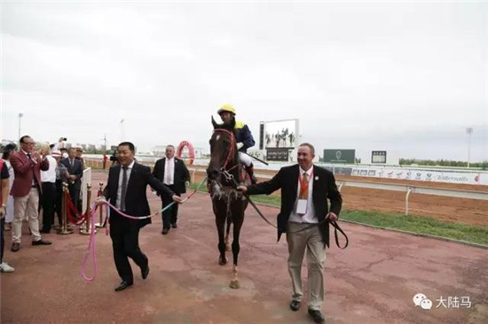 驭者∙无界:2017CECF内蒙古鄂尔多斯国际驭马文化圆满落幕17.jpg