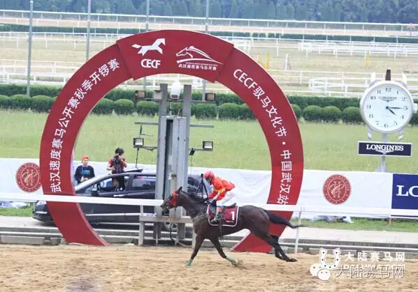 为何驭马文化节主办方大动干戈更换鄂尔多斯赛马场跑道沙子?16.jpg
