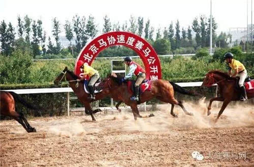 《马上聚焦》北京速度赛马第三站视频全记录:中日共推掀高潮1.jpg