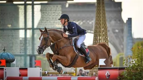 全球顶级马术赛马拍卖会即将开幕!冠军骑手为你选马! 大陆马 (8).png