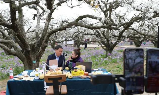 砀山县委书记直播带货卖梨!已把砀山打造成马术耐力赛名城 大陆赛马网 (1).jpg