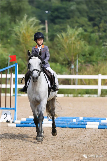 2019年全国青少年马术“造星梦工厂”——沈阳东骏马术夏令营开营啦! 青马网大陆马 (13).jpg