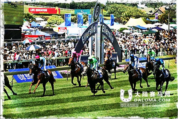 赛马一生一次的荣耀:2014新西兰打吡大赛视频回顾 大陆赛马网.jpg