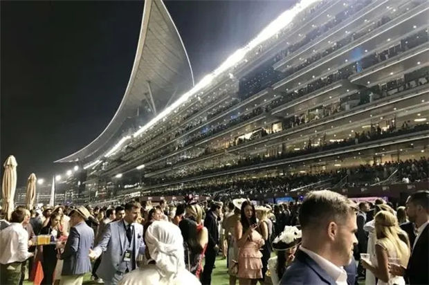 原定空场举行的2020迪拜赛马世界杯取消举办 大陆赛马网.jpg