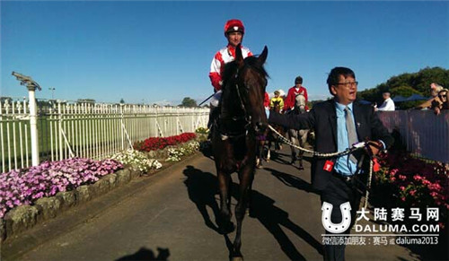 2015世界最佳赛马年终排名揭晓 美国法老第1 蒙古可汗27 (3)_副本.jpg