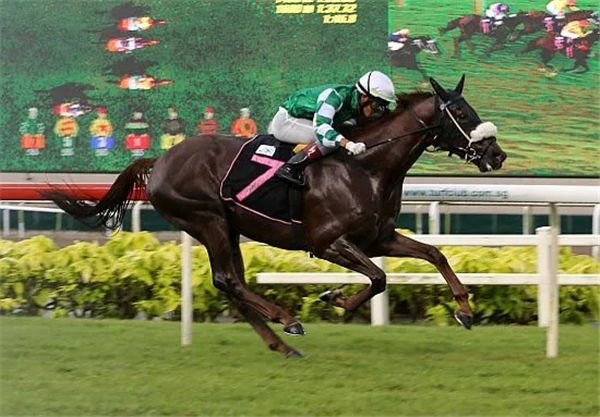 征战新加坡赛马场的马来西亚46岁骑师B伍活结束14天隔离返岗 大陆赛马网.jpg