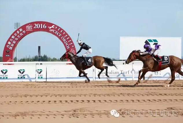 驭马奔腾 助力体育强国民族梦——CECF鄂尔多斯驭马文化节圆满收官 5.jpg