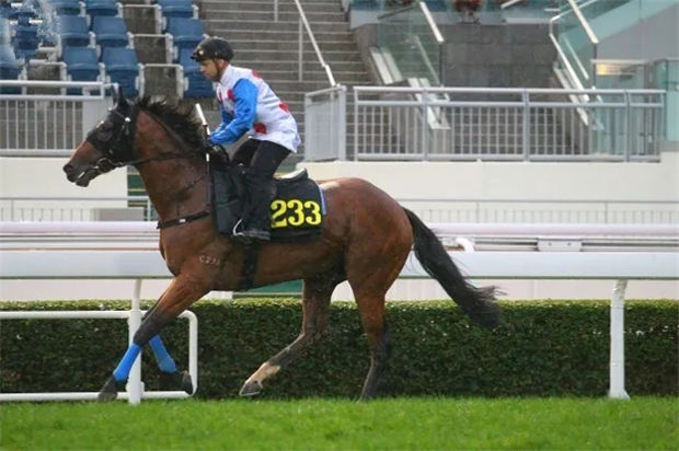 曾志伟爱驹爆冷进前三!“表表马”一路绝尘差点问鼎百万奖金赛马冠军 大陆赛马网 (4).jpg