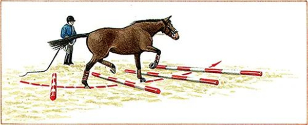 青马课堂:如何打圈快步过杆 大陆马.jpg