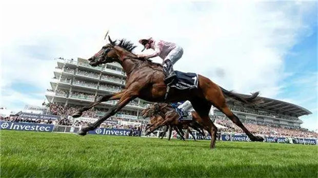 2020英国叶森打吡大赛:“英帝”与“佳明骥”正面交锋 大陆赛马网.jpg