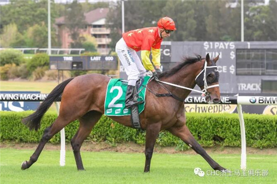 六冠到手!CHC赛驹“凯兰达”生涯已狂揽250万人民币奖金4.jpg